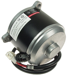 24 Volt 750 Watt 2600 RPM Currie Electric Scooter Motor with 11