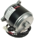 24 Volt 750 Watt 2600 RPM Currie Electric Scooter Motor with 11 Tooth Sprocket - MOT-SD175