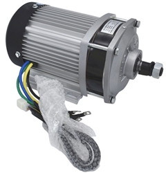 48 Volt 1000 Watt Electric Tricycle Brushless Gear Motor 