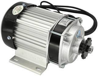 48 Volt 750 Watt Brushless Gear Motor 