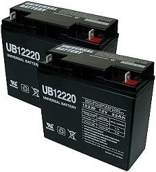 Two Quantity 12 Volt 22 Ah Batteries with USPS Priority Mail Flat-Rate Shipping (Price Includes $29.90 USPS Priority Mail Flat-Rate Shipping Fee) 