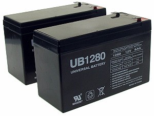Two Quantity 12 Volt 8 Ah Batteries with 12 Month Warranty 
