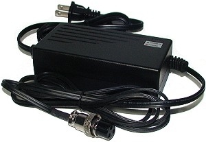 24 Volt 1 Amp Automatic Battery Charger with 2-Port Inline Plug 