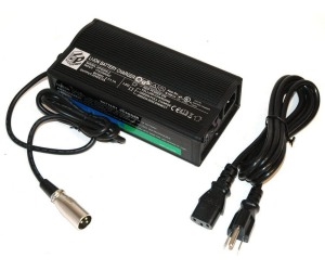 Lithium Ion Battery Charger for IZIP Trailz Enlightened Electric Bicycle 