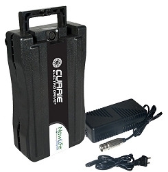 izip electric bike battery charger