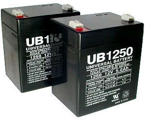 Battery Set for Razor E100 and E125 Electric Scooter 