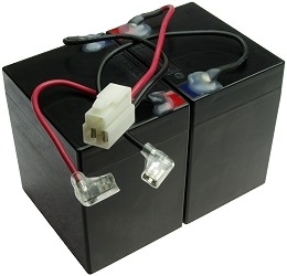 Batteries with Wiring Harness for Razor E150 Version 6+ 