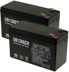 Set of Two Batteries with 12 Month Warranty for Razor E300 and E325 Electric Scooters 