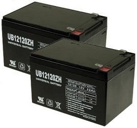 Set of Two Batteries with 12 Month Warranty for eZip 650 and E-650 Electric Scooter 