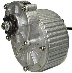 24 Volt 250 Watt Electric Bicycle Gear Motor 