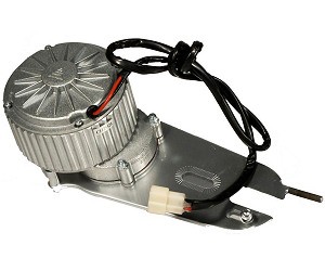 Motor with Mounting Plate for eZip and IZIP Electric Bicycles and Currie Electro-Drive Kits 