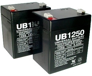 R2 180 Electric Scooter Battery Set with 12 Month Limited Warranty 