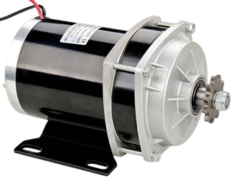 36 Volt 1000 Watt Planetary Gear Motor 