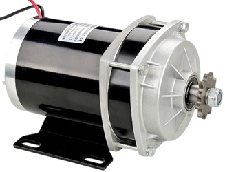 48 Volt 1000 Watt Planetary Gear Motor 